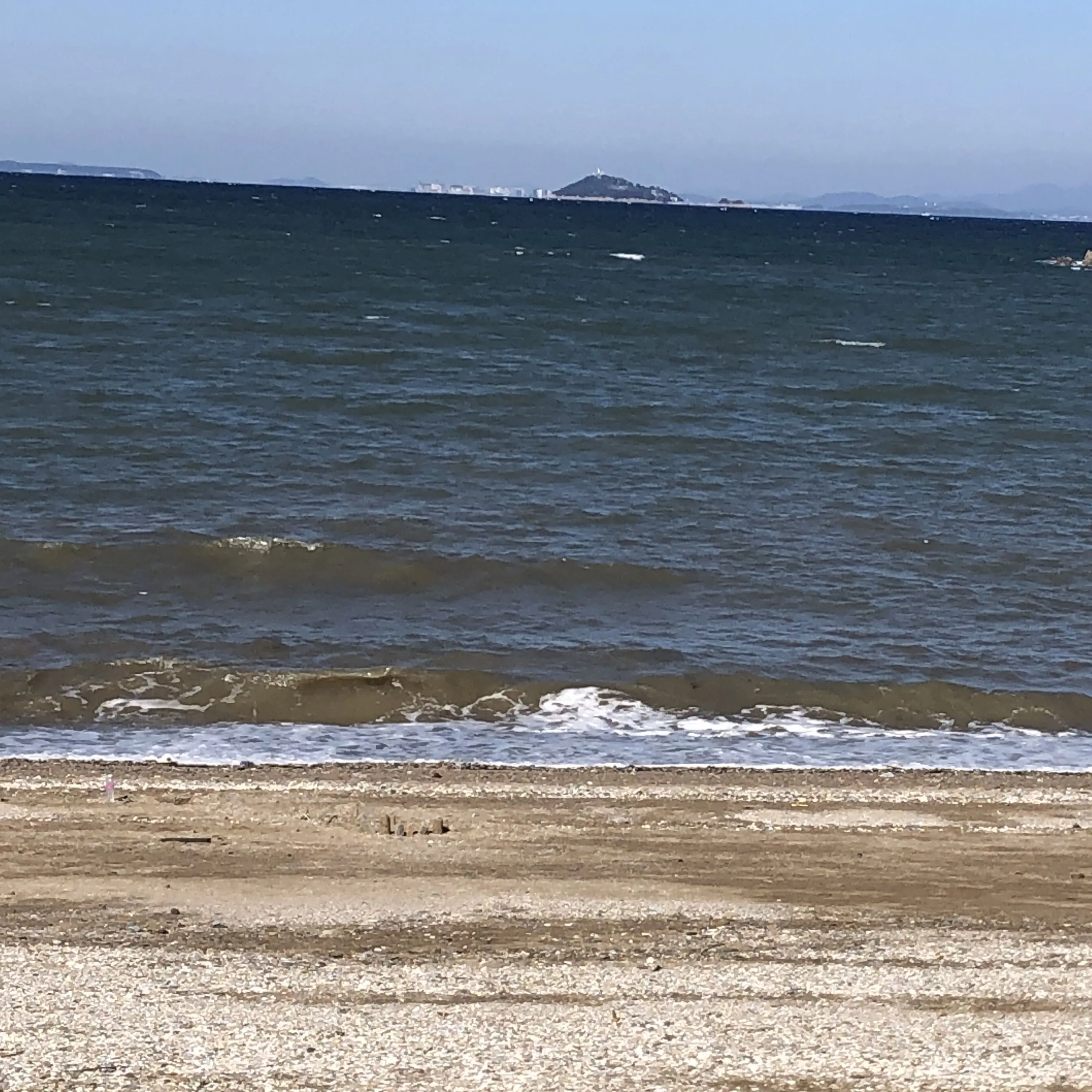 FoggyMolly4225의 소꿉친구 채널