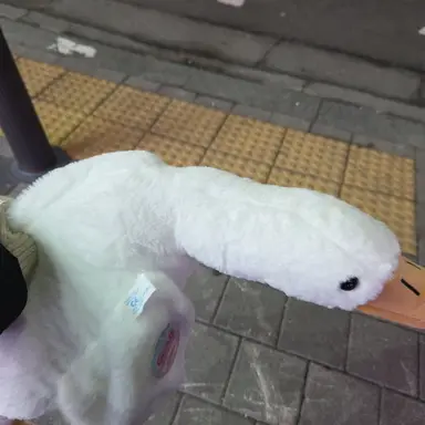 Profile image of 데이미언 루쉬