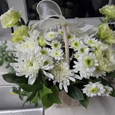 Profile image of 커티스