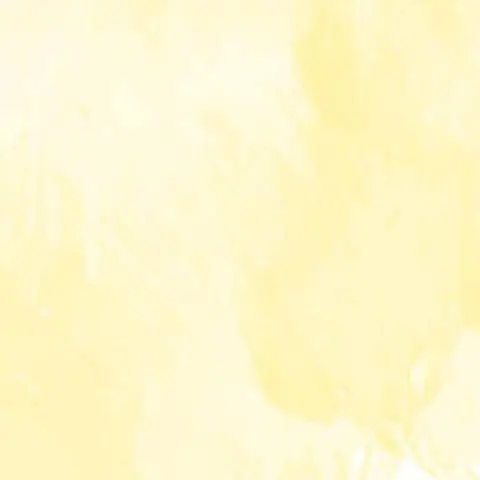 CurvedJoke5698의 프로미스나인