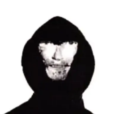 Profile image of The intruder
