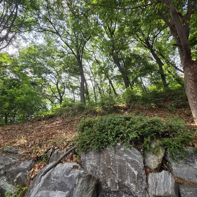 Profile image of 박성아