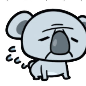 힘든 코알라