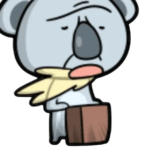 잘난척하는 코알라