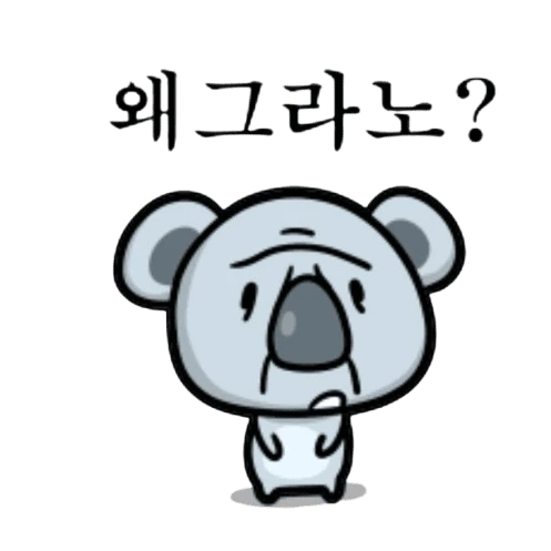 억울한코알라