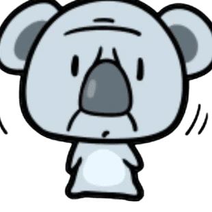 궁금한 코알라