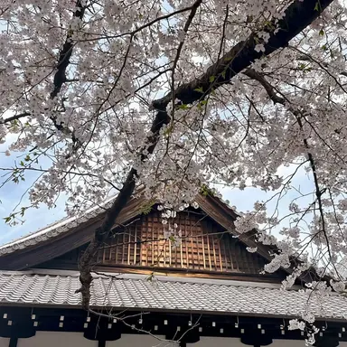 Profile image of 엔데버