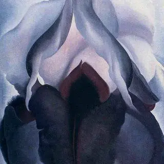 sncnj의 자연을 다루는. 신비한 요정들