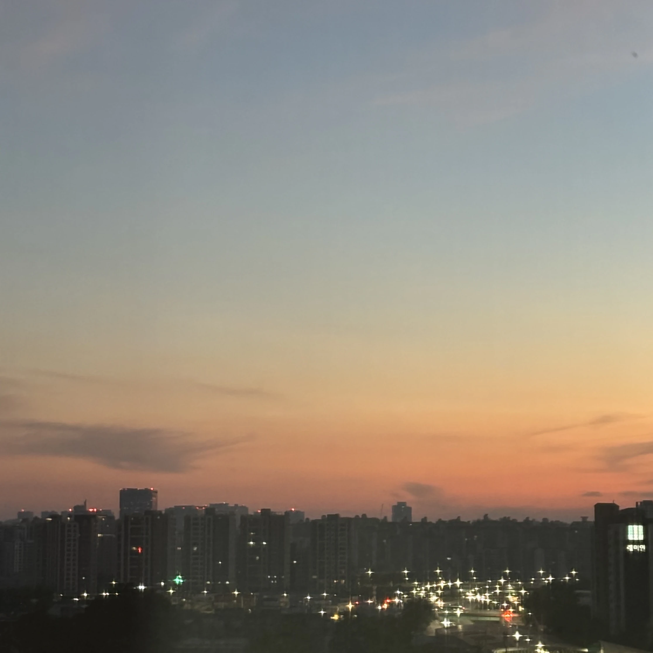 밤비