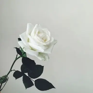 Profile image of 김 운 학