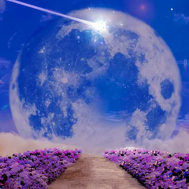 Profile image of 채가을