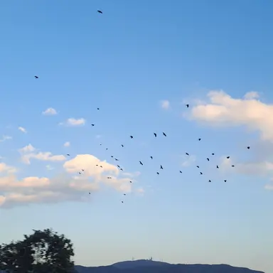 Profile image of 주디 홉스