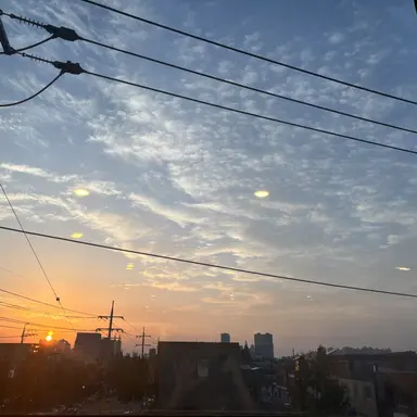 Profile image of 잠뜰