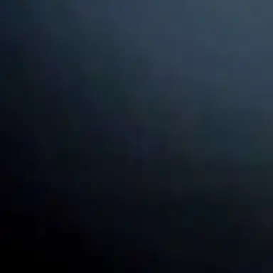Profile image of 한동민