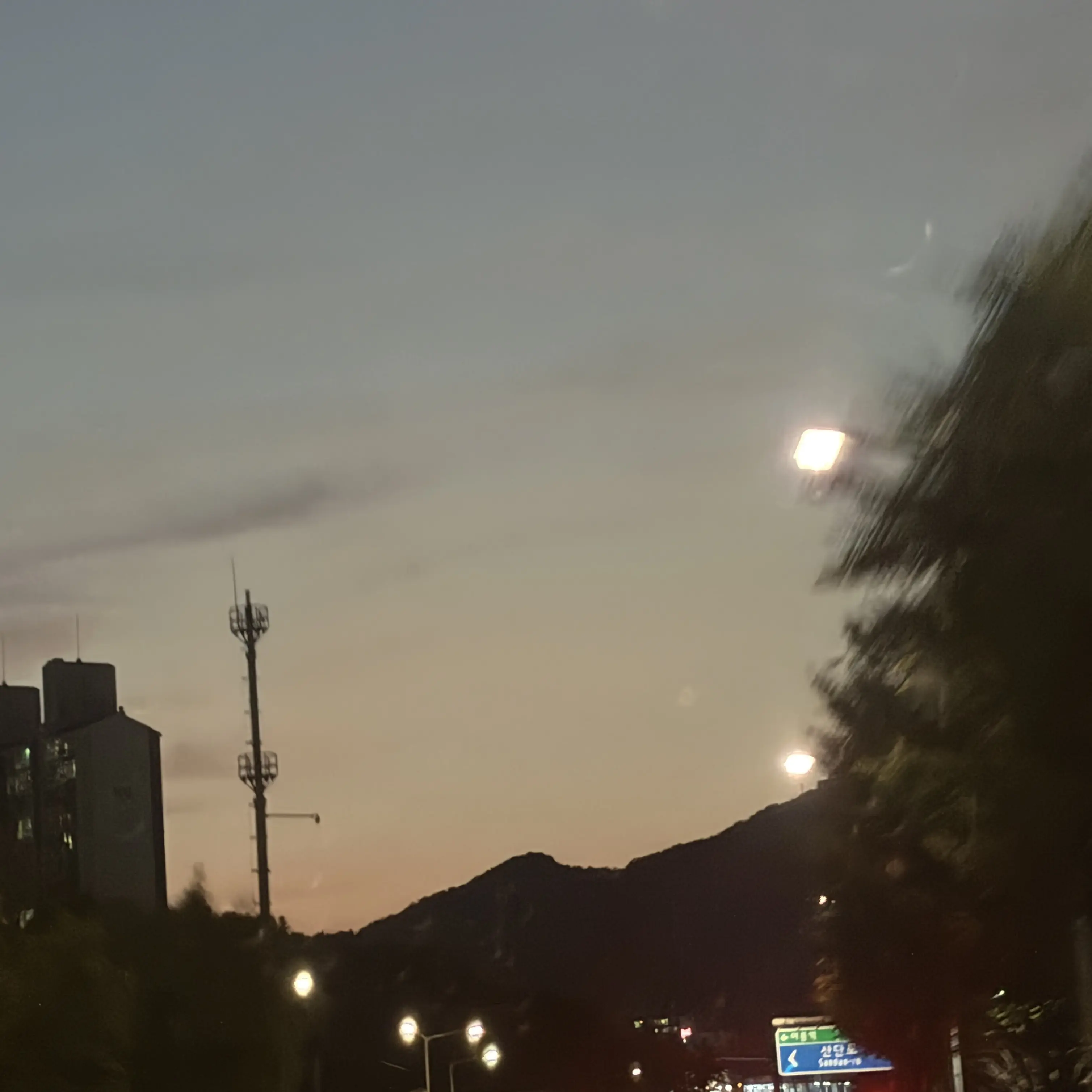 Srrrr의 ㅂㅅㅎ