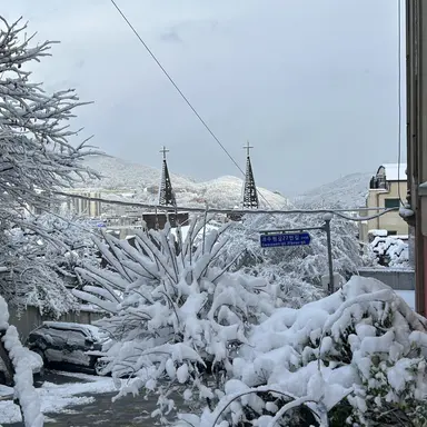 Profile image of 장윤정