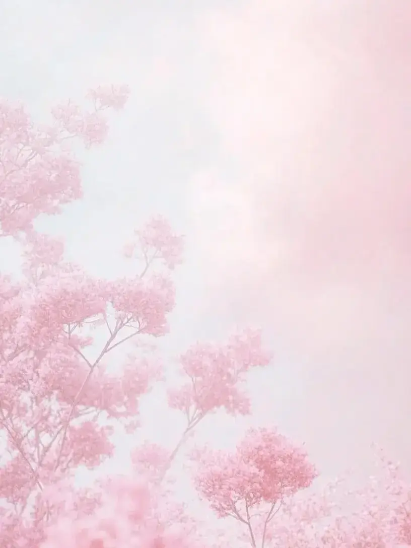 tuyu.0324의 ンゴ