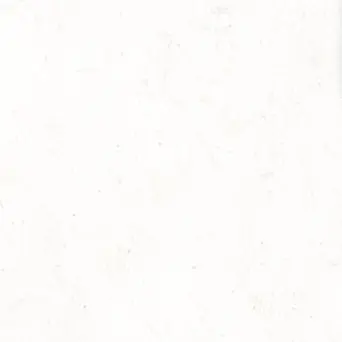 Profile image of 키타 신스케