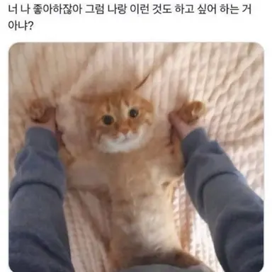Profile image of 신우