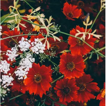Profile image of 마플