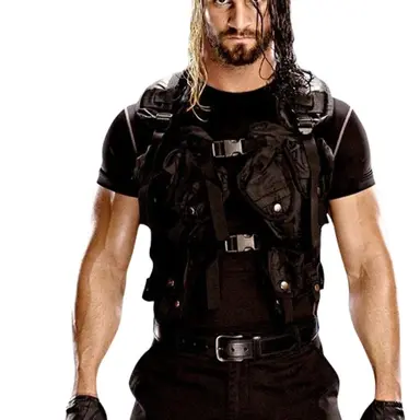 Profile image of Seth Rollins