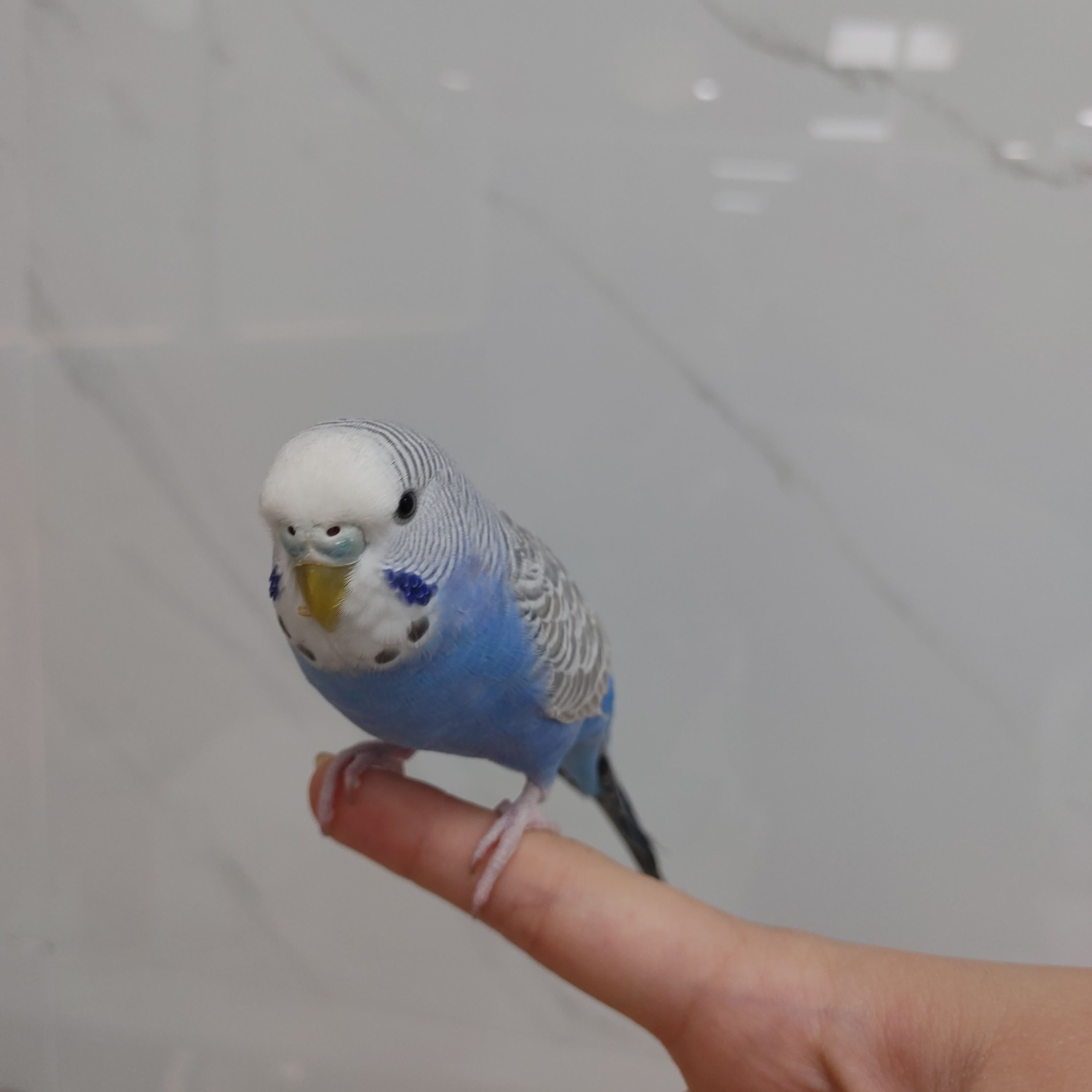 질문 받아요! 대표 이미지