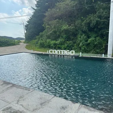 Profile image of 오뉴