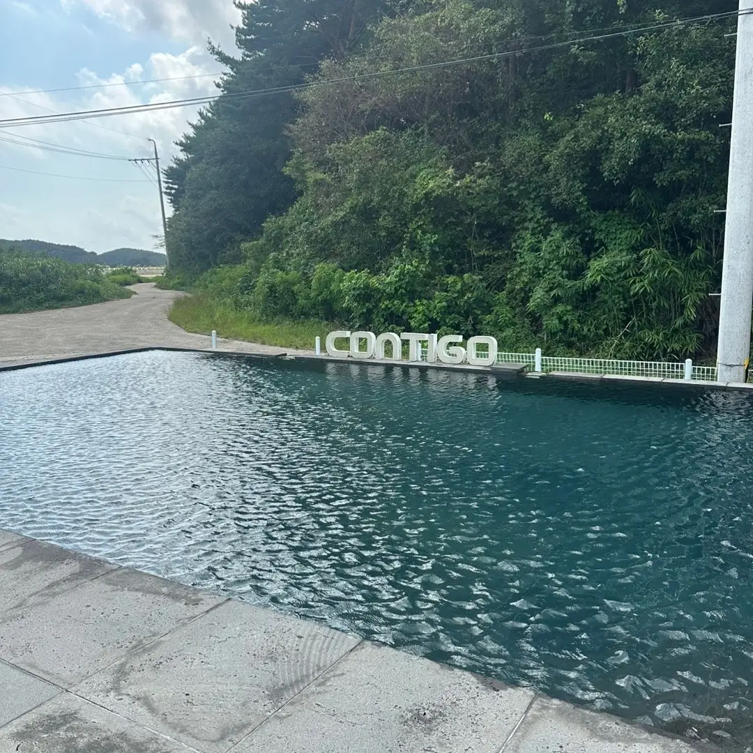 Jack_is_a_cat의 차라리 너를, 너를 미워했다면 (2)