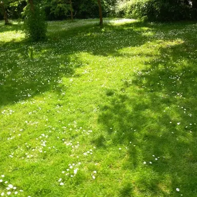 Profile image of 여우