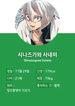 Profile image of 시나즈가와 사네미