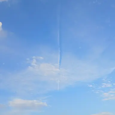 Profile image of 타대오