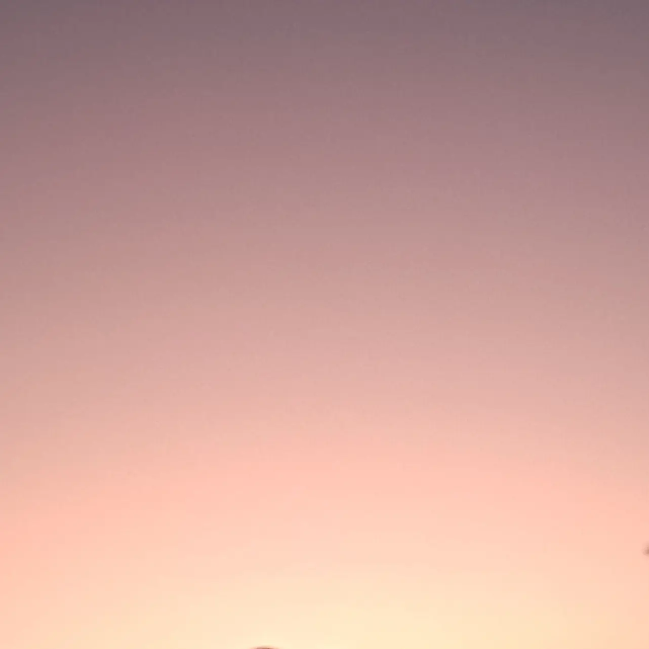 RegalMango0063의 - 소개팅