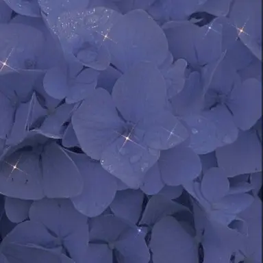 Profile image of 행크