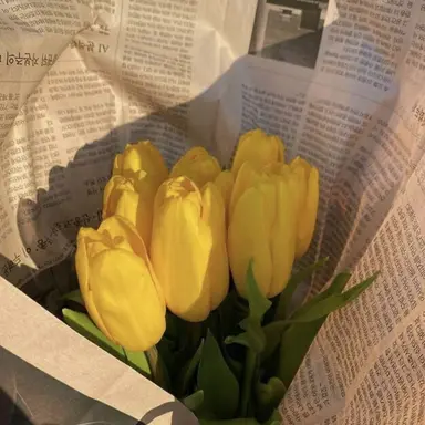 Profile image of 쪼만