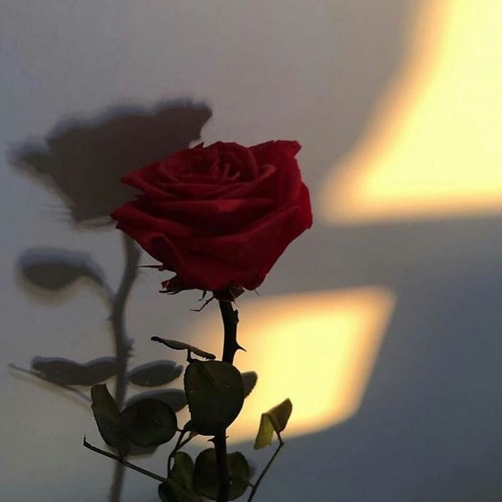 히트약 사러 왔다가 걸릴줄은 몰랐는데 대표 이미지