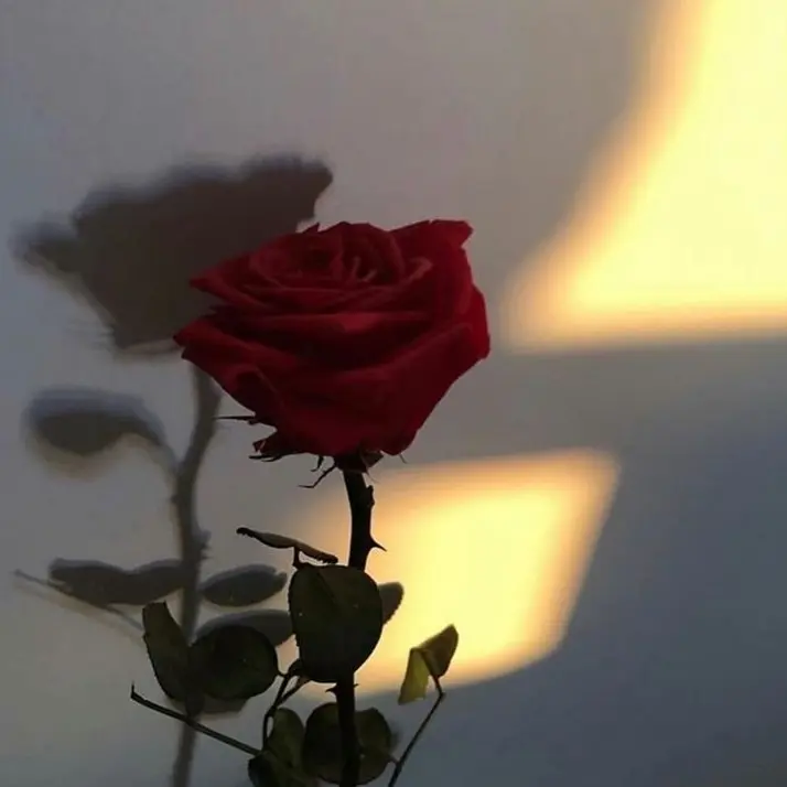 YMN_1001의 히트약 사러 왔다가 걸릴줄은 몰랐는데