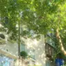 Profile image of 예엥
