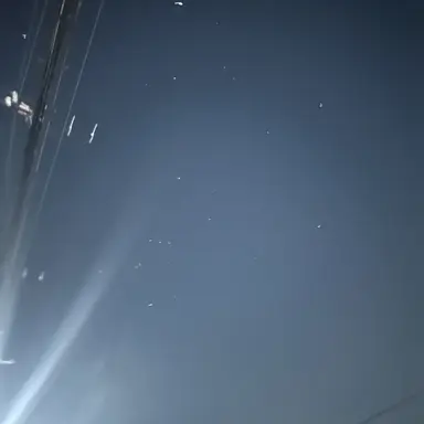 Profile image of リノ