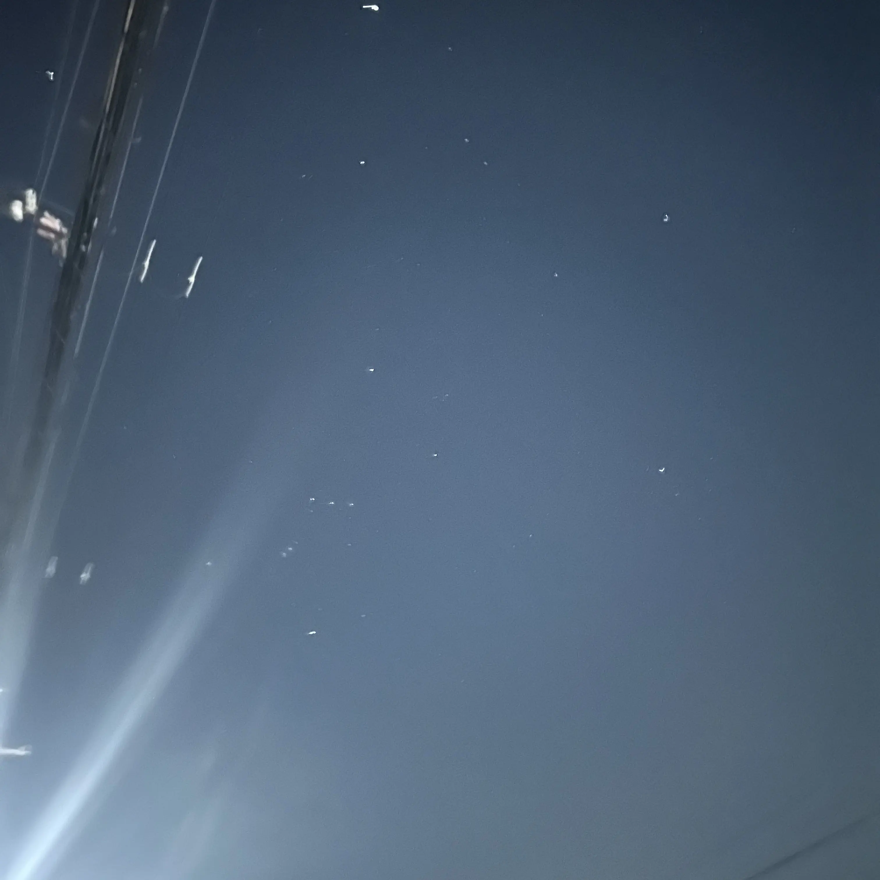 FickleRose6910의 リノ