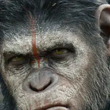 Profile image of Planet of the Apes