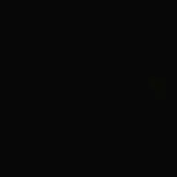 Profile image of -