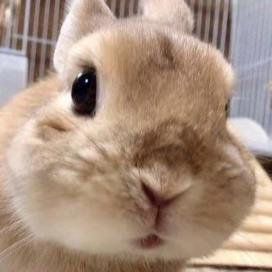 이민호