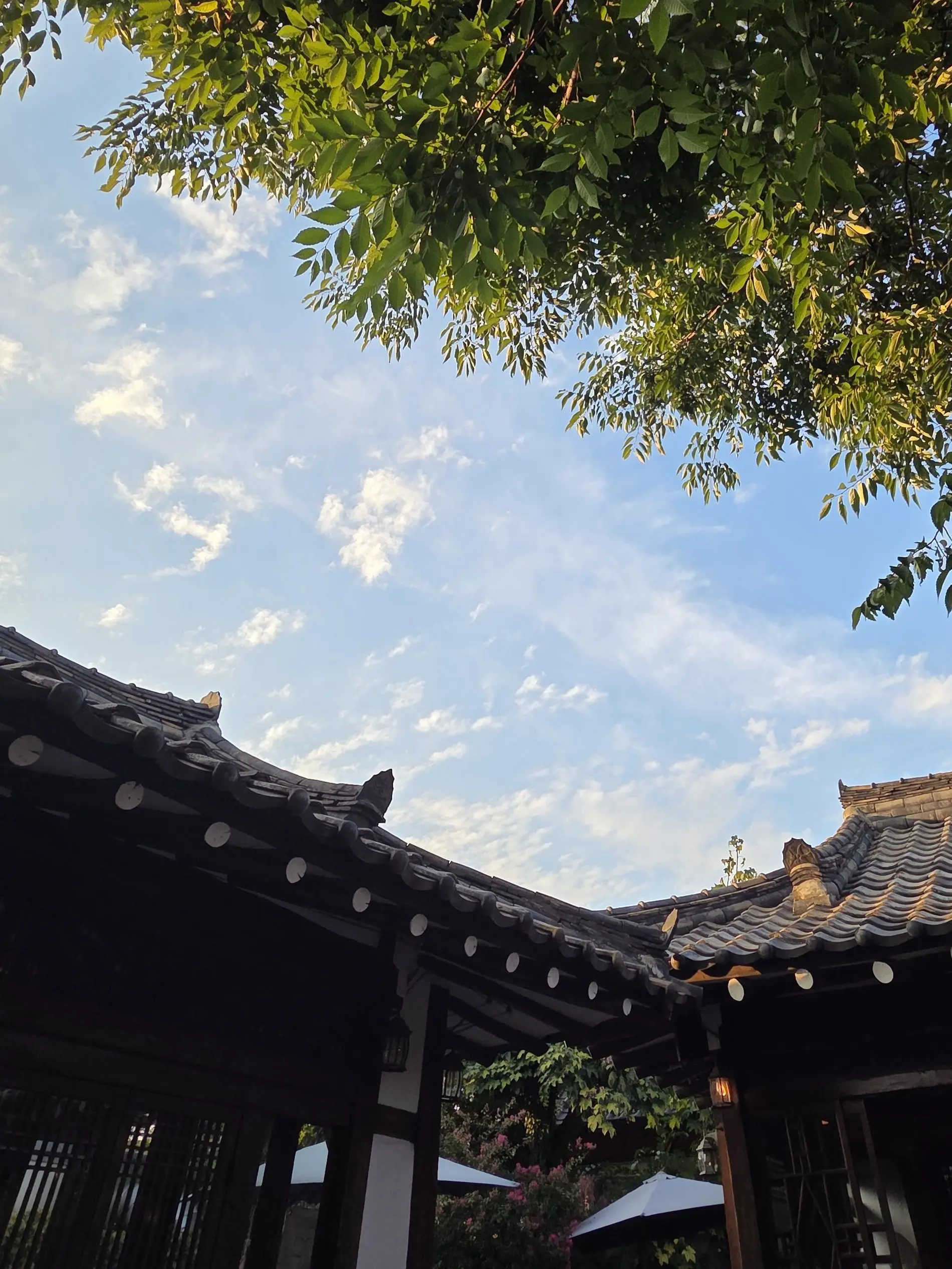 JUST_MAY의 朝鮮時代の令嬢として生きる