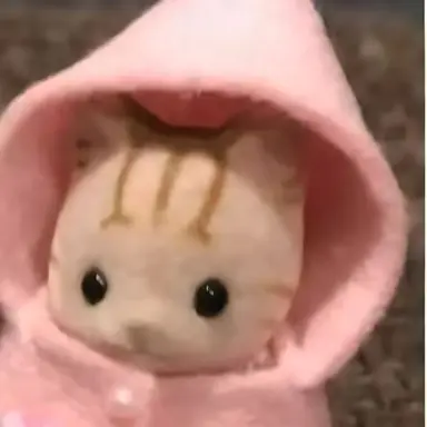 Profile image of 여우