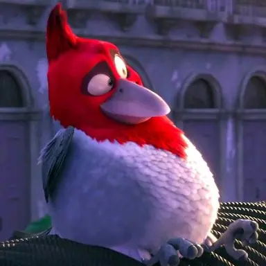 Profile image of Pedro