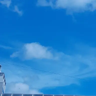 Profile image of 고고프렌즈 거지가족