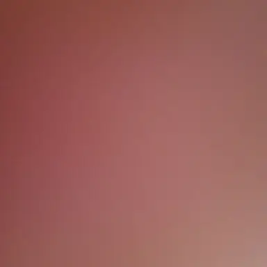 Profile image of 김나현