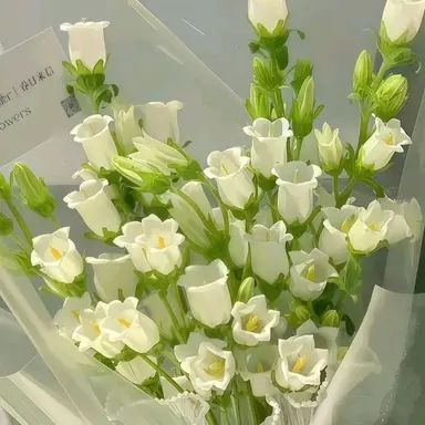 Profile image of 공룡