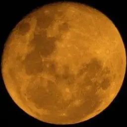 Profile image of 髙地 優吾