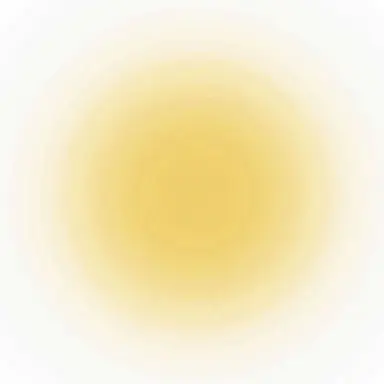 Profile image of 岩本照